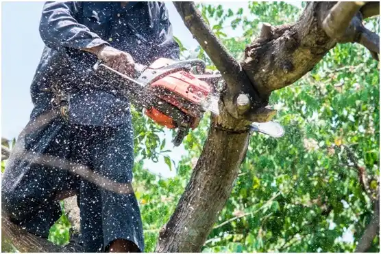 tree services Vian